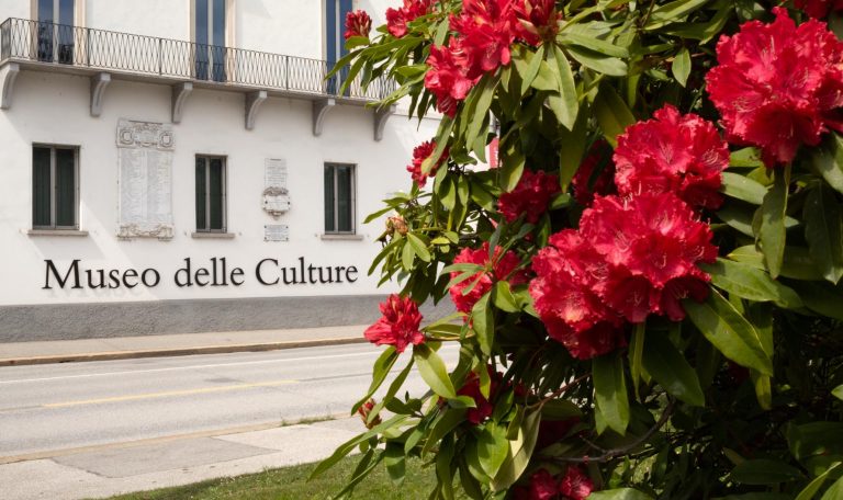 Lugano museo delle culture 6