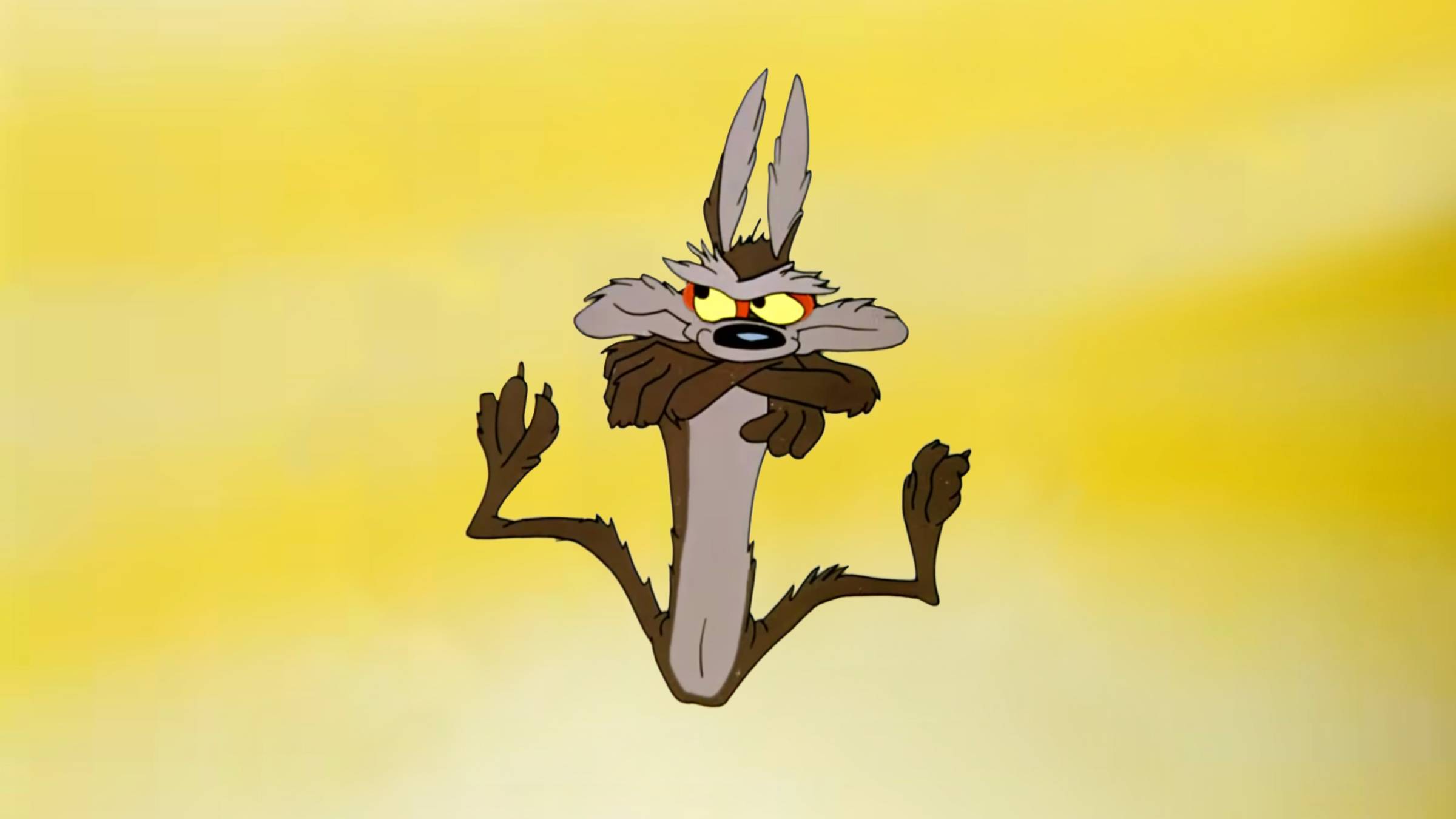 willy-coyote-2400x1350